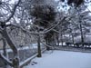 Previous picture :: Wallpaper - Quetta Snowfall January 2012 (4) - 4608 x 3456